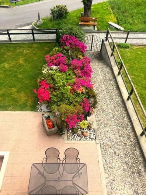 Vila Azalea Di Gigliola Ziello - "Casa Azalea" Cremia Exteriér fotografie